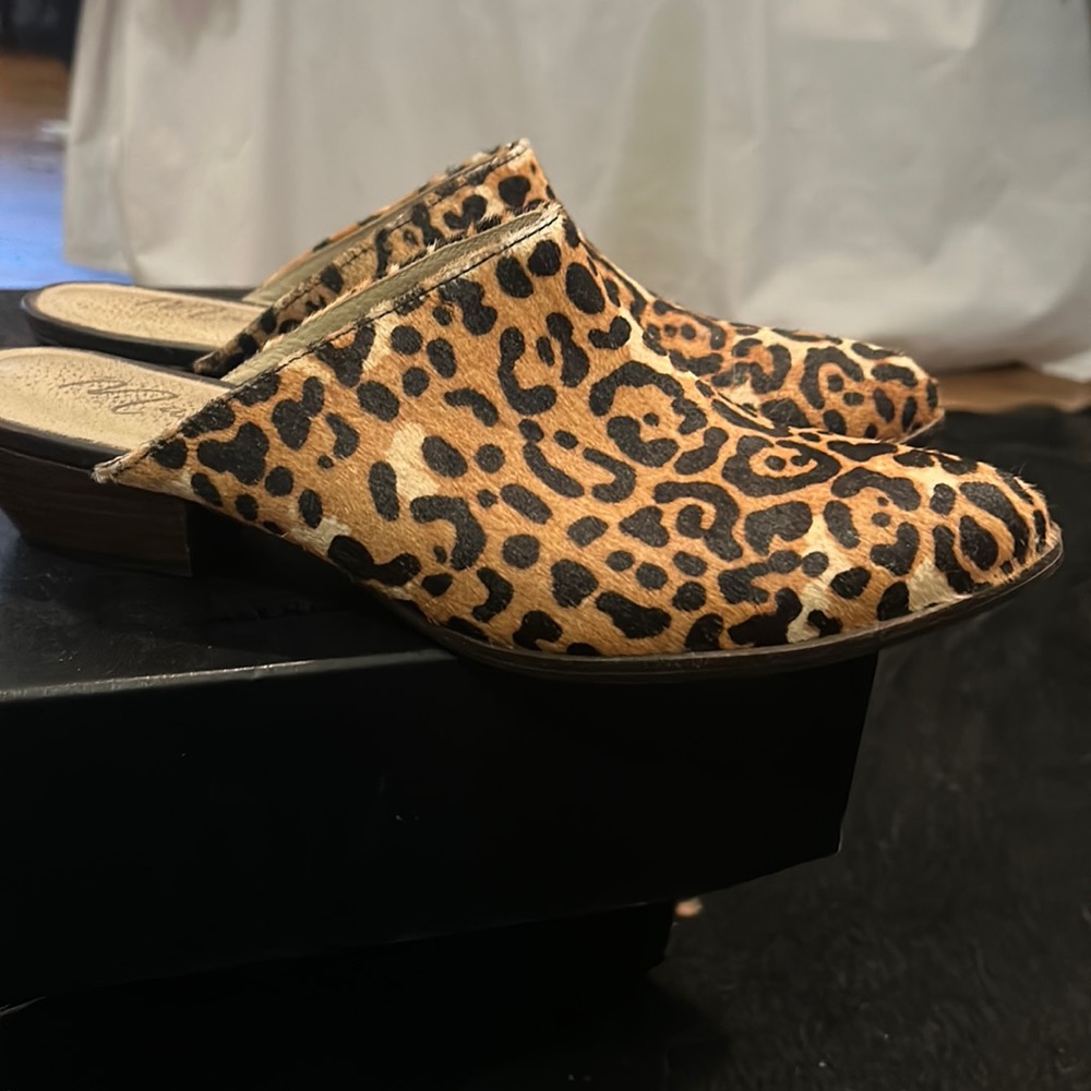 Matisse slides